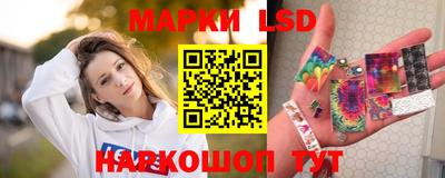 a pvp Свободный