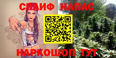 a pvp Свободный