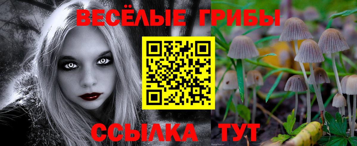 Светлоград  Галлюциногенные грибы мицелий  Вход с VPN 